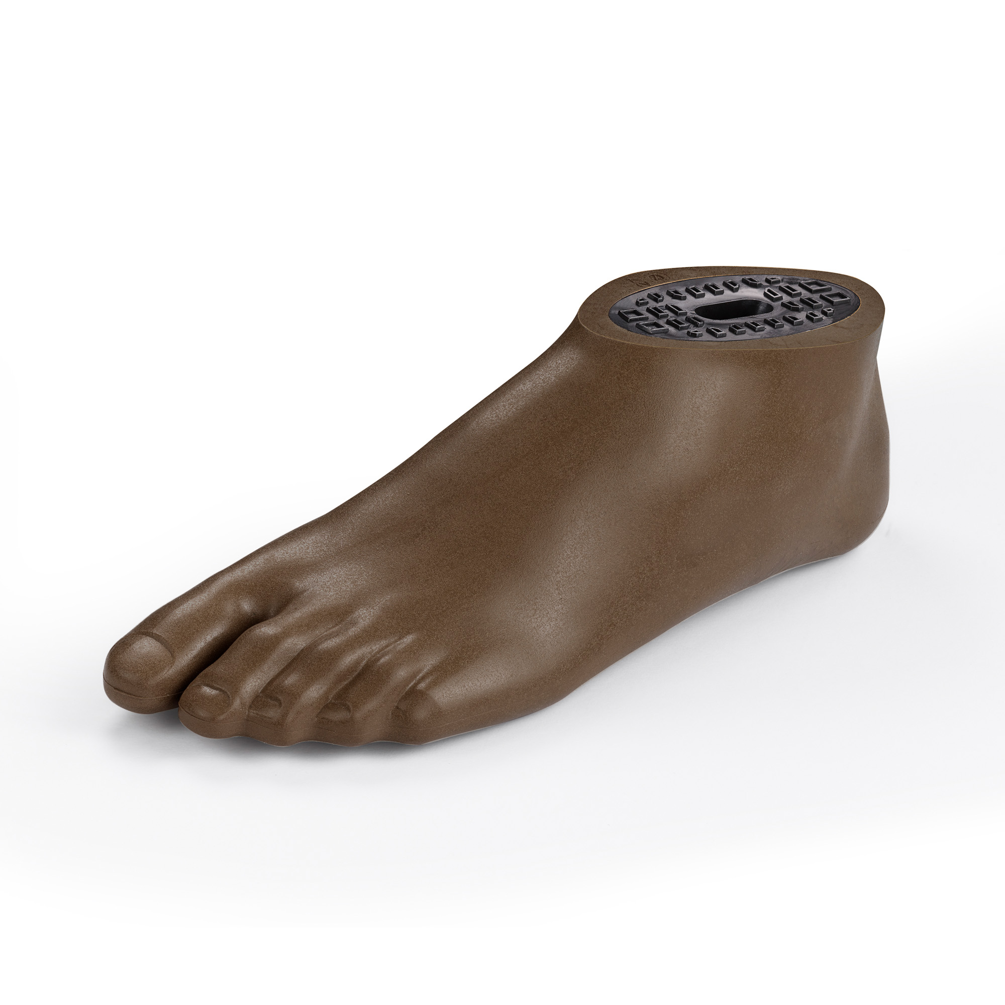 Foot SACH 2.0, adult